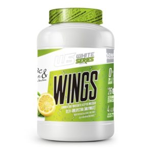 WINGS | AMILOPECTINA DE MAÍZ EN POLVO | 2KG