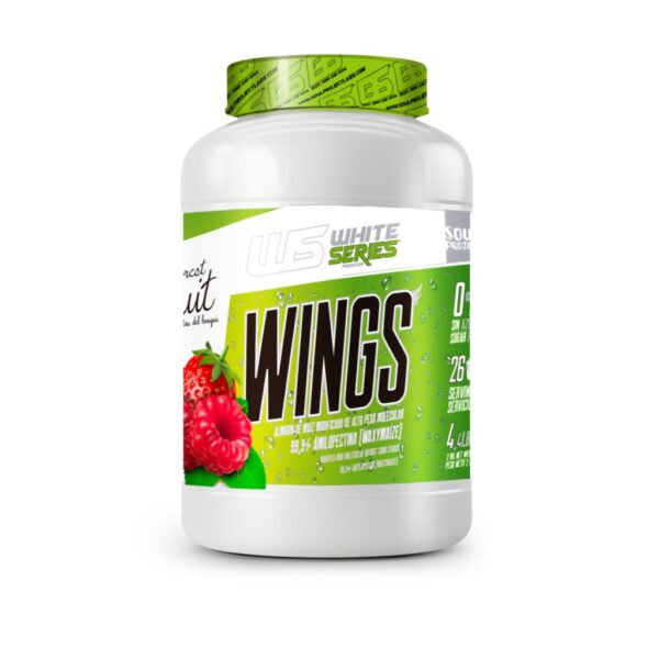 WINGS | AMILOPECTINA DE MAÍZ EN POLVO | 2KG - Imagen 2
